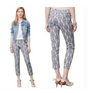 Cartonnier Pants Damask Charlie Ankle Gray Size 6